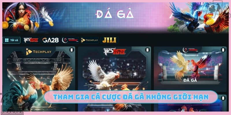 Tham gia cá cược đá gà không giới hạn